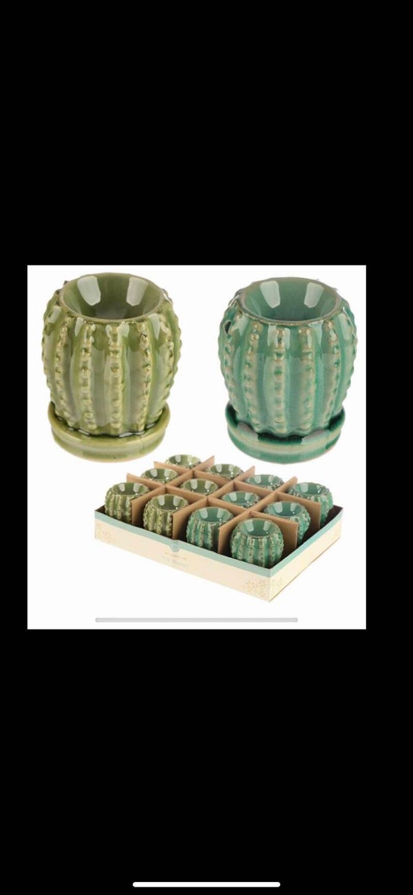 Mini cactus brander licht groen