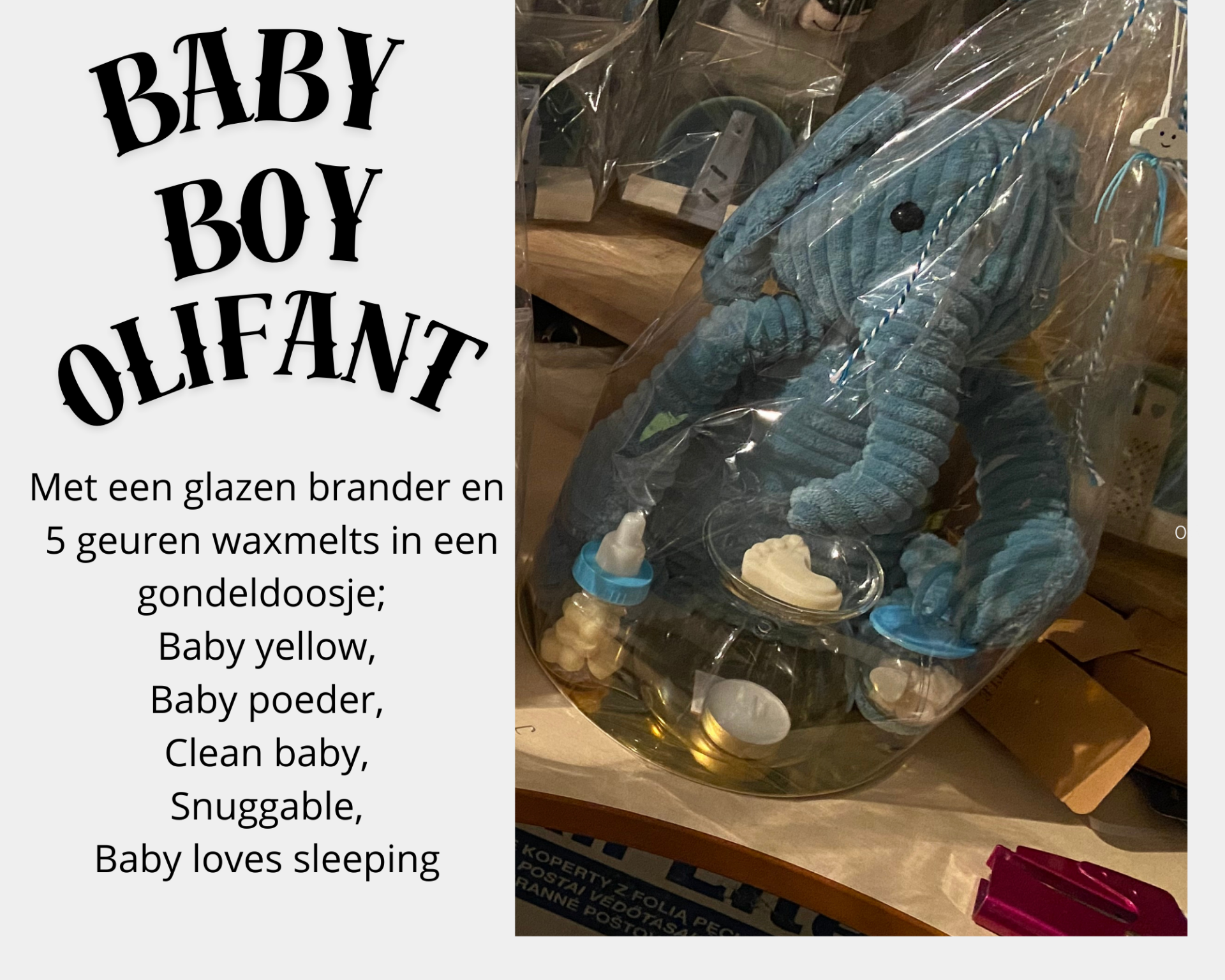 Baby boy olifant