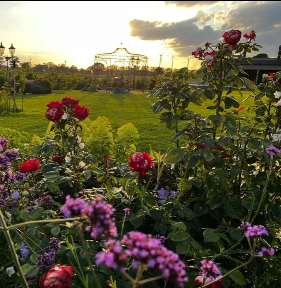 gartengestaltung-ronny-peter-landschaftsg-rtner-in-friedland-brandenburg-105-standard-txuabh.png