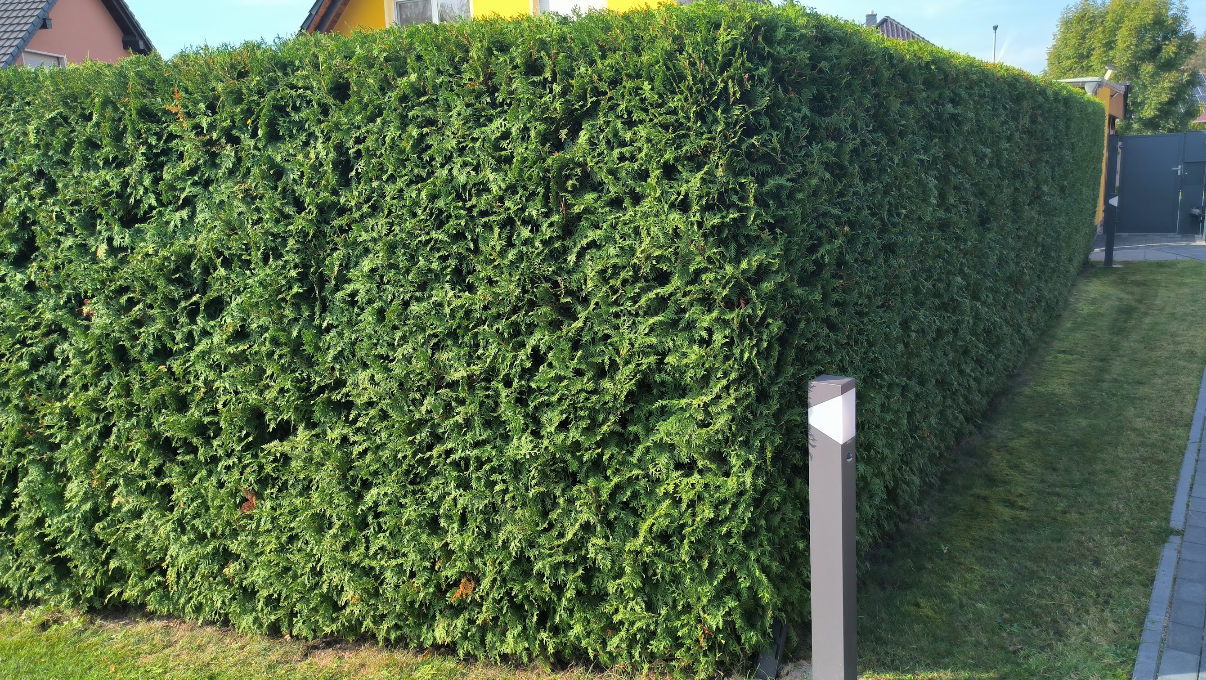 gartengestaltung-ronny-peter-landschaftsg-rtner-in-friedland-brandenburg-113-standard.png