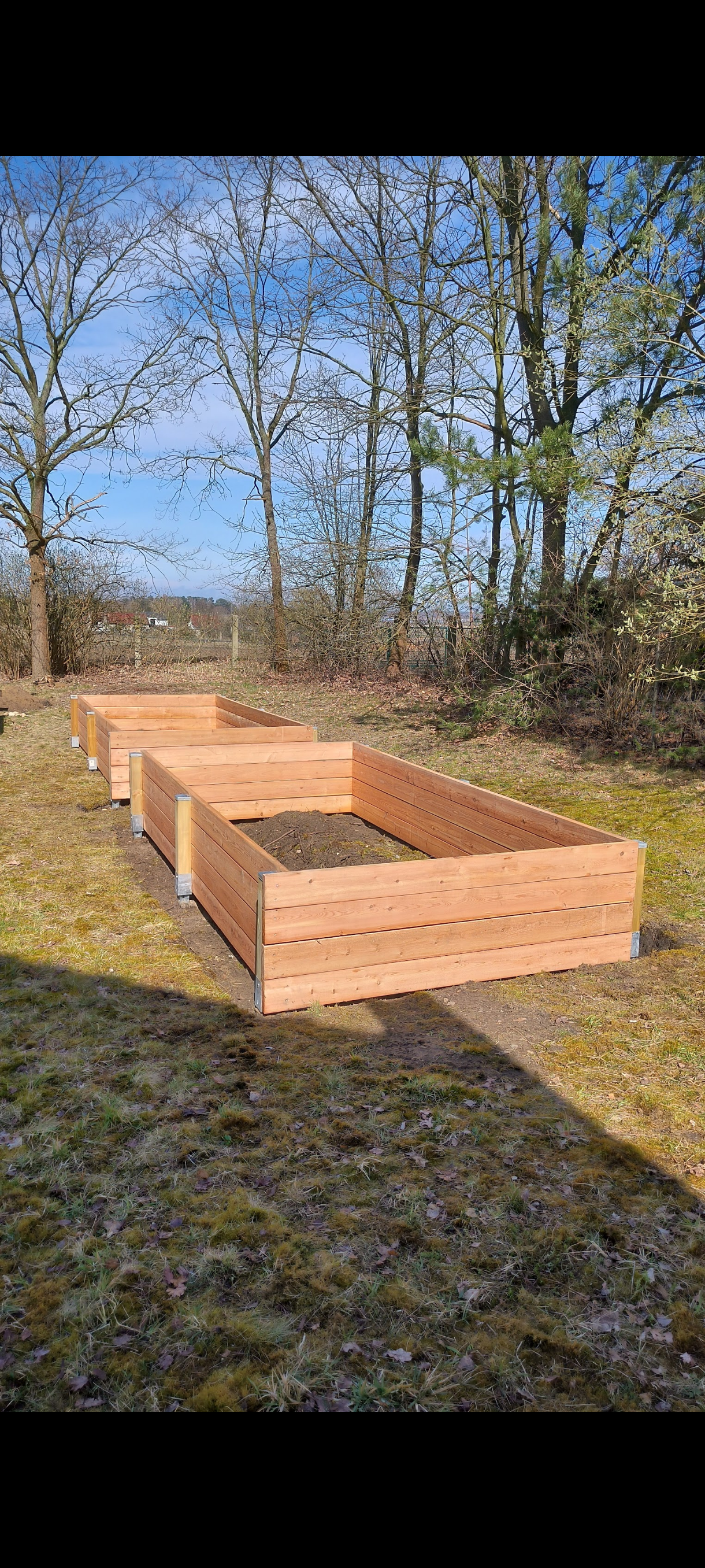 gartengestaltung-ronny-peter-landschaftsg-rtner-in-friedland-brandenburg-25-standard-4mb9n4.png