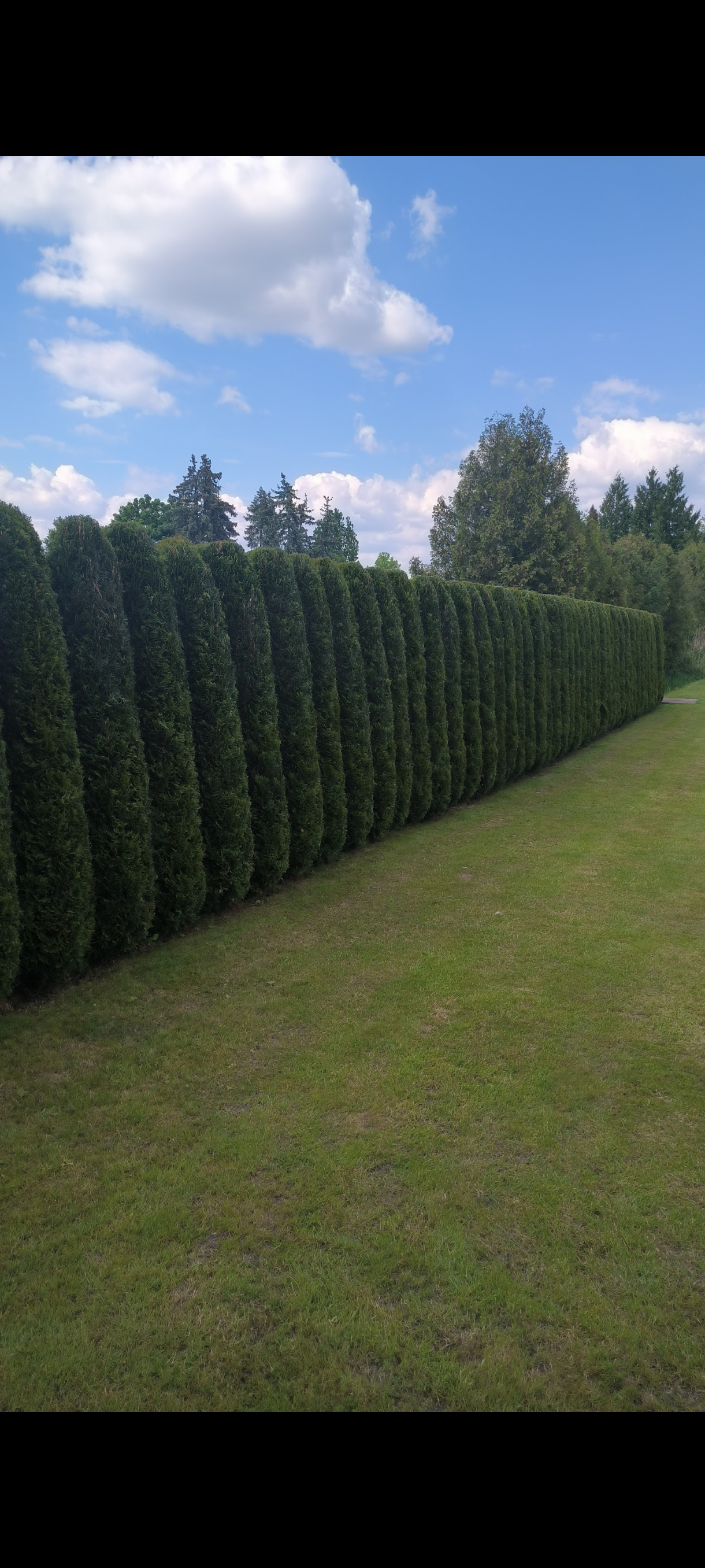 gartengestaltung-ronny-peter-landschaftsg-rtner-in-friedland-brandenburg-31-standard-omve15.png