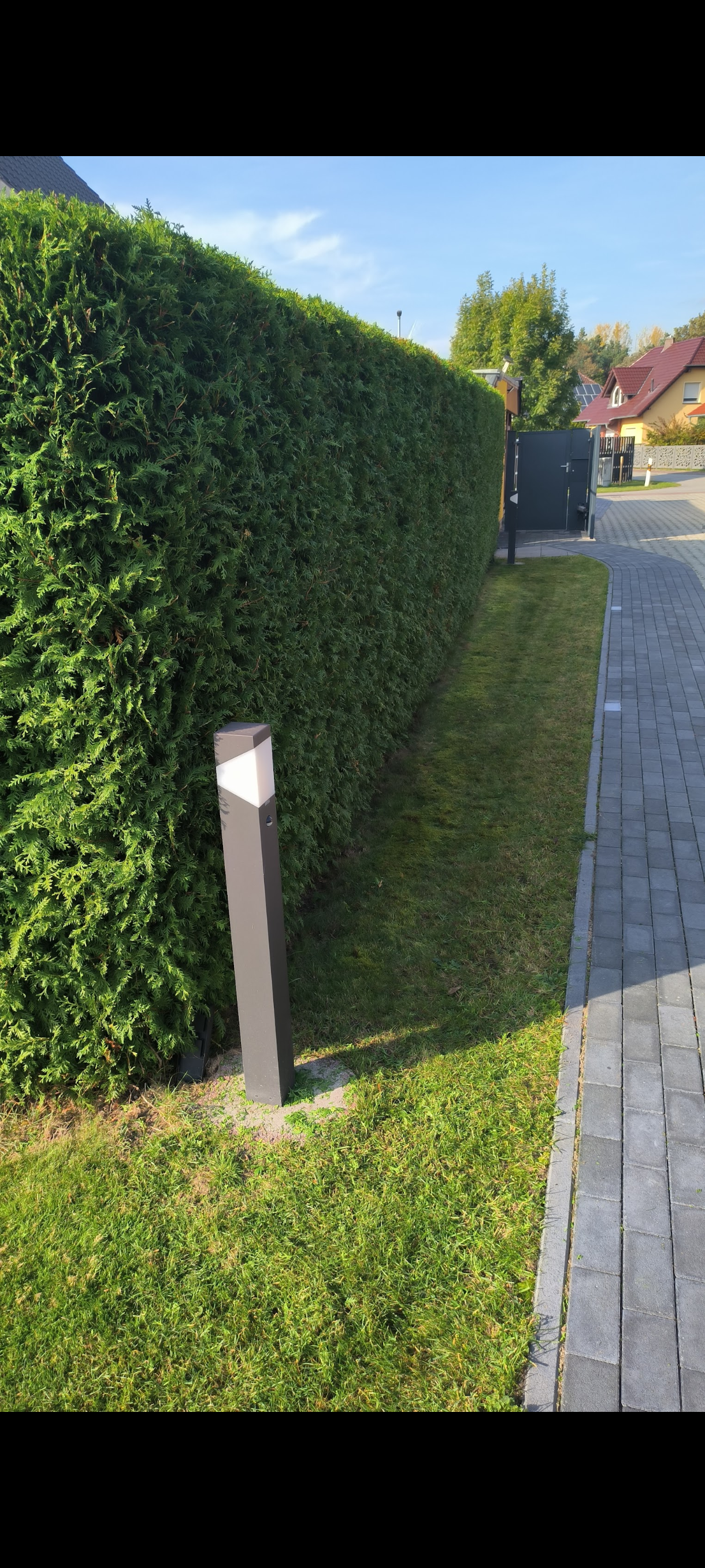 gartengestaltung-ronny-peter-landschaftsg-rtner-in-friedland-brandenburg-42-standard.png