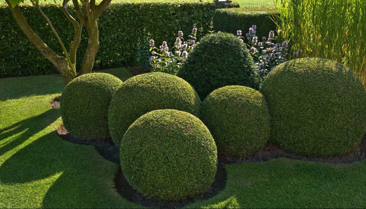 gartengestaltung-ronny-peter-landschaftsg-rtner-in-friedland-brandenburg-68-standard.png