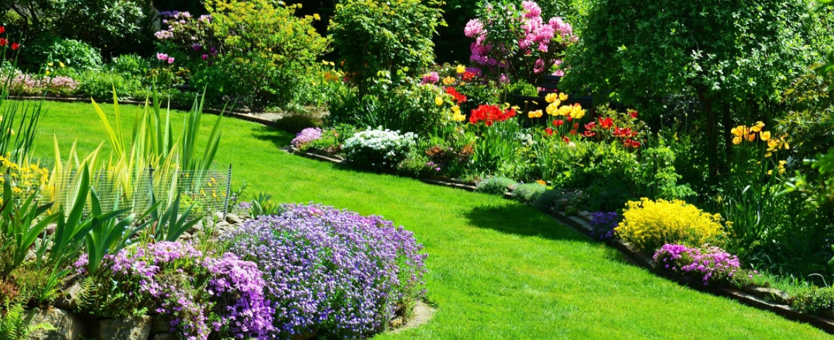 gartengestaltung-ronny-peter-landschaftsg-rtner-in-friedland-brandenburg-72-standard.png