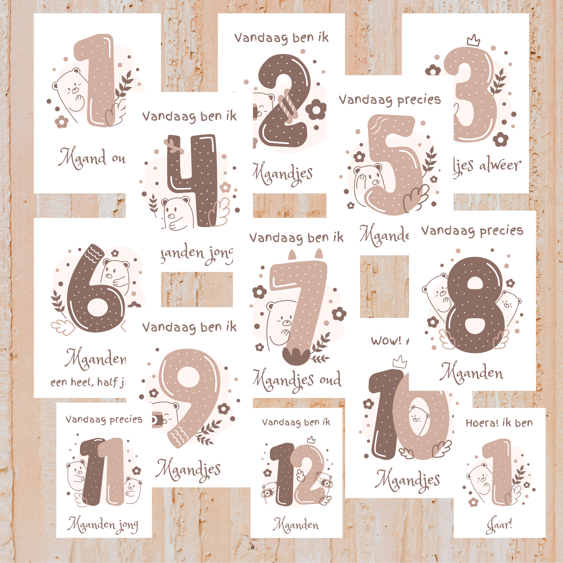 Baby Mijlpaalkaarten 12 Maanden + 1 Jaar – Set van 13 A5 Kaarten – Minimalistisch Design