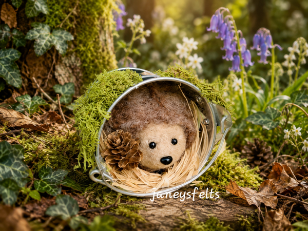 Hedgehog