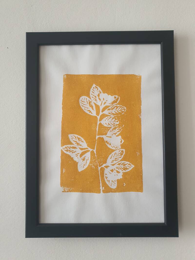 Cotonéastre laiteux jaune A4