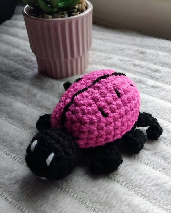 🐞 Coccinelle au Crochet – Amigurumi Fait Main
