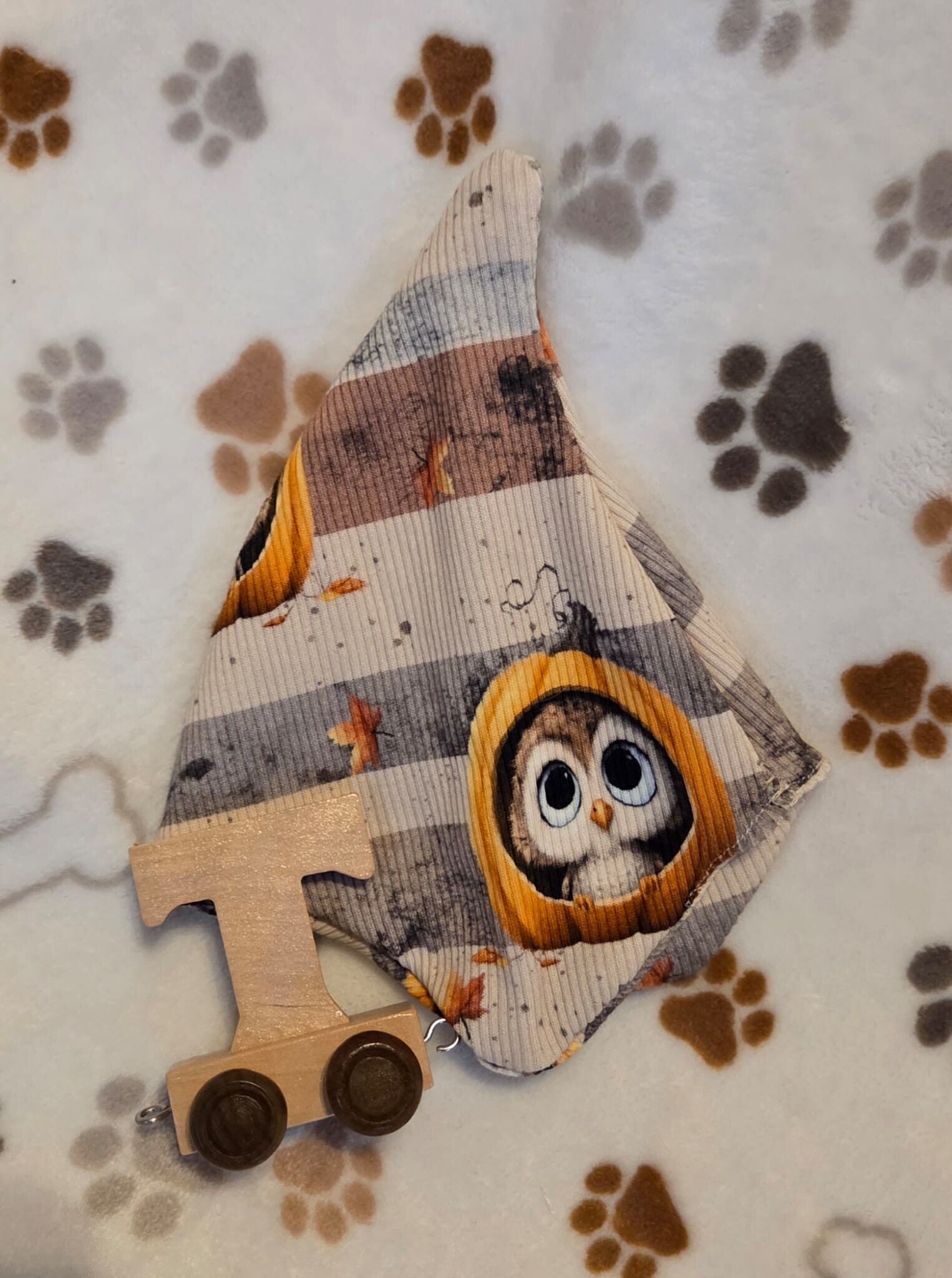 Haube Eule/Kürbis Gr.44