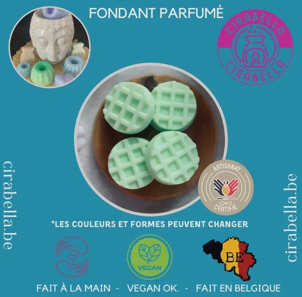 FONDANTS PARFUM LITHOTHERAPIE
