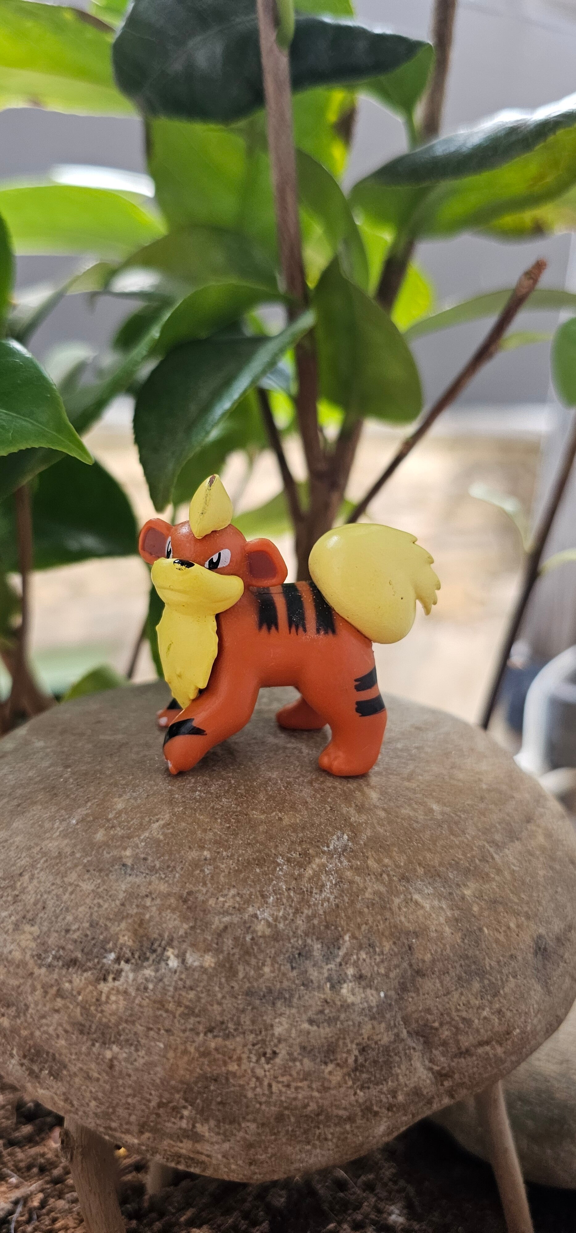 Figurine Pokemon de chez Nintendo Caninos