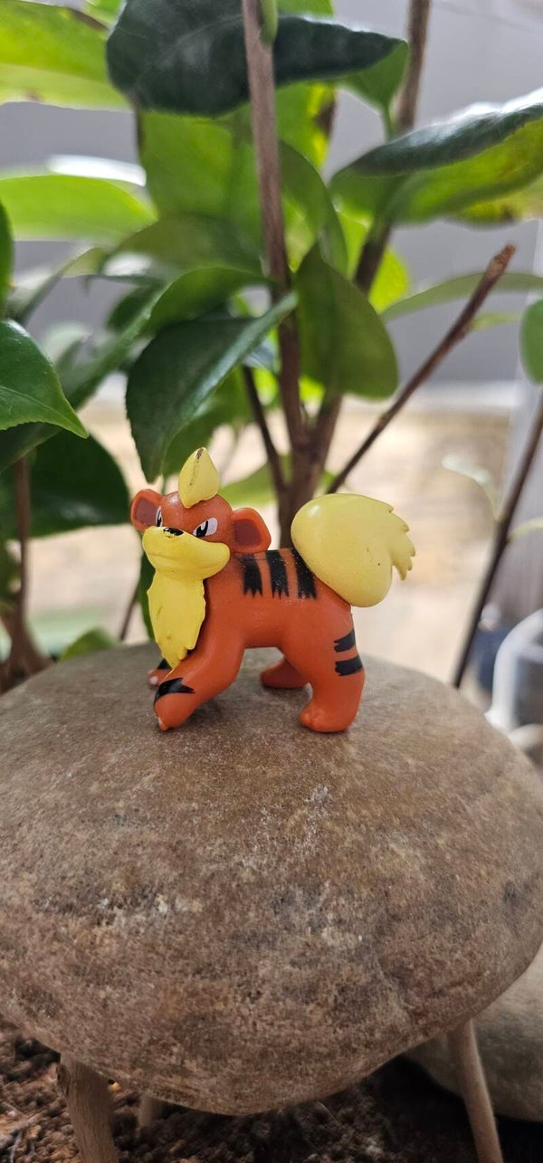 Figurine Pokemon de chez Nintendo Caninos