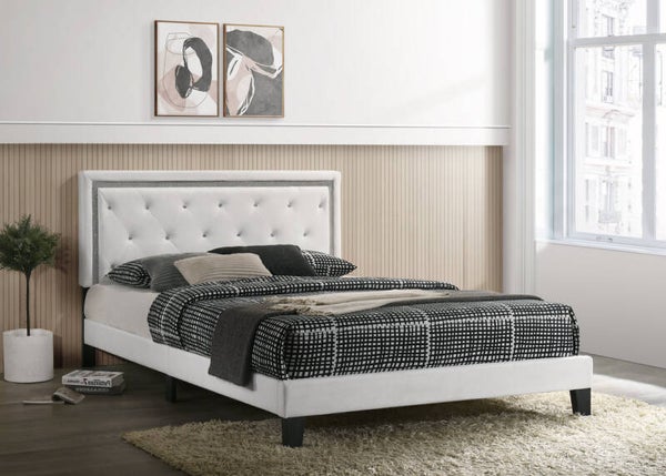 White PU Platform - King
