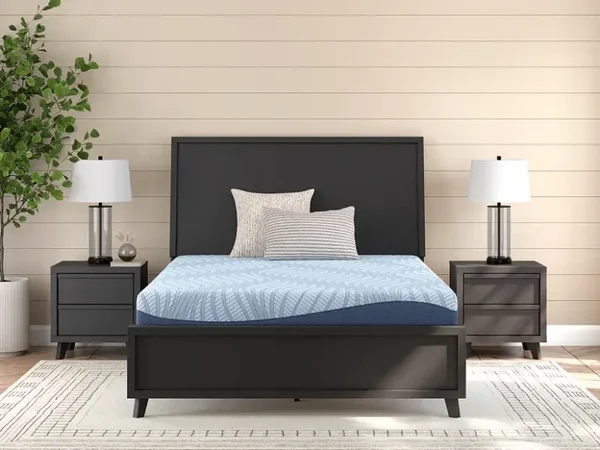ASM205 10" Memory Foam Bed