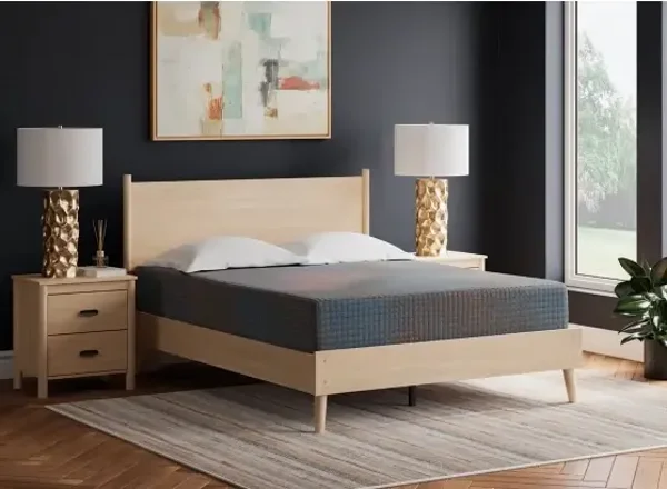 ASM207 13" Hybrid Queen Bed