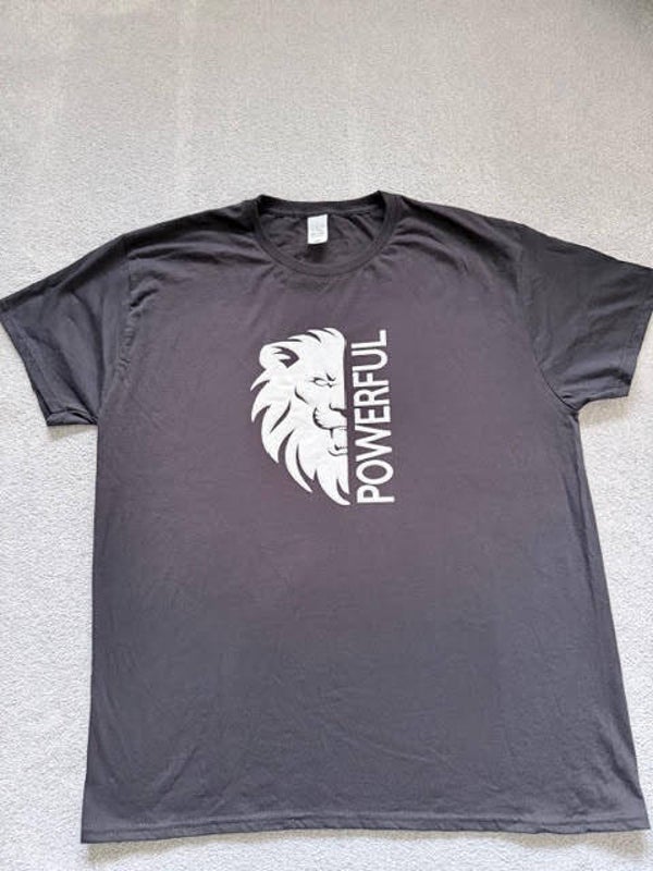 Powerful Lion t-shirt