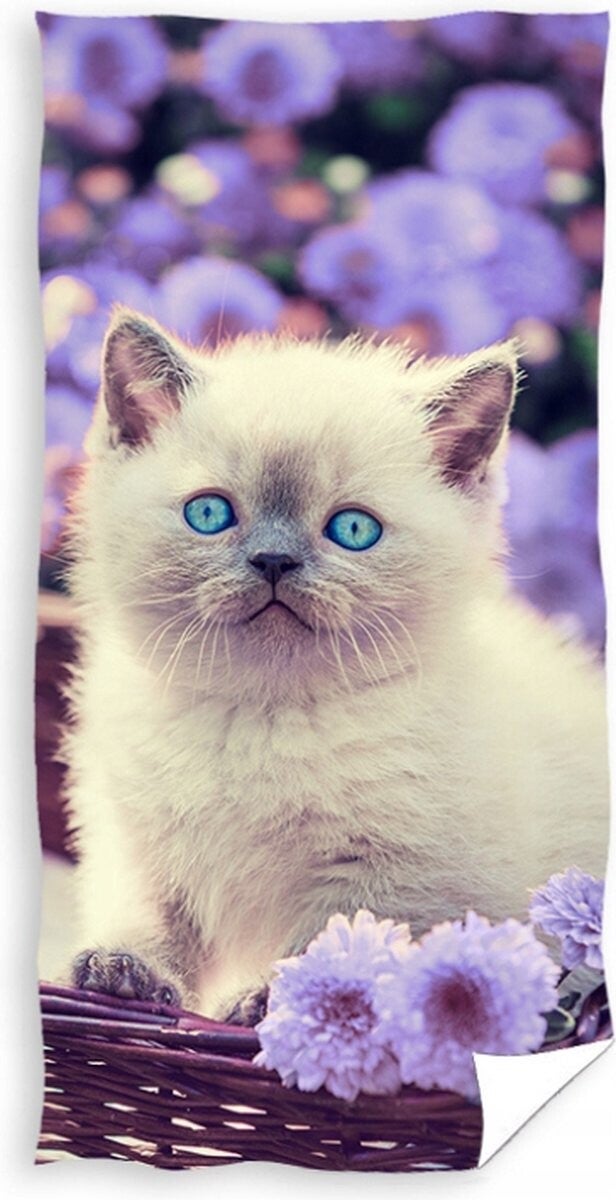 Kitten bad/strandlaken