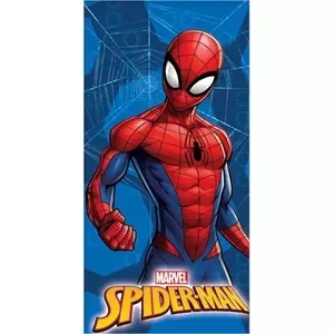 Spiderman bad/strandlaken