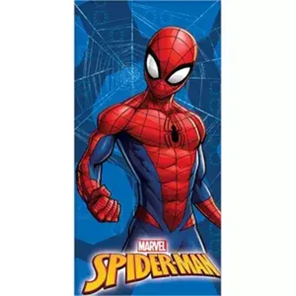 Spiderman bad/strandlaken