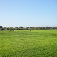 DSC07538.jpg