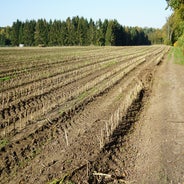 DSC07545.jpg