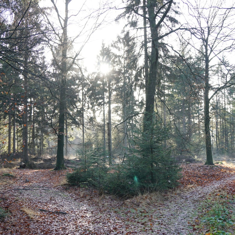 DSC07806.jpg