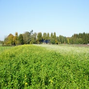 DSC07542.jpg