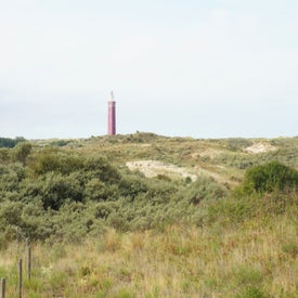 dsc01231-3.jpg