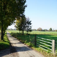 DSC07539.jpg