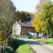DSC07551.jpg