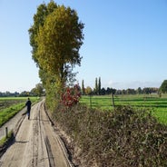 DSC07547.jpg