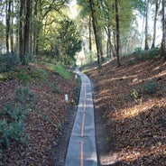 DSC07536-1.jpg