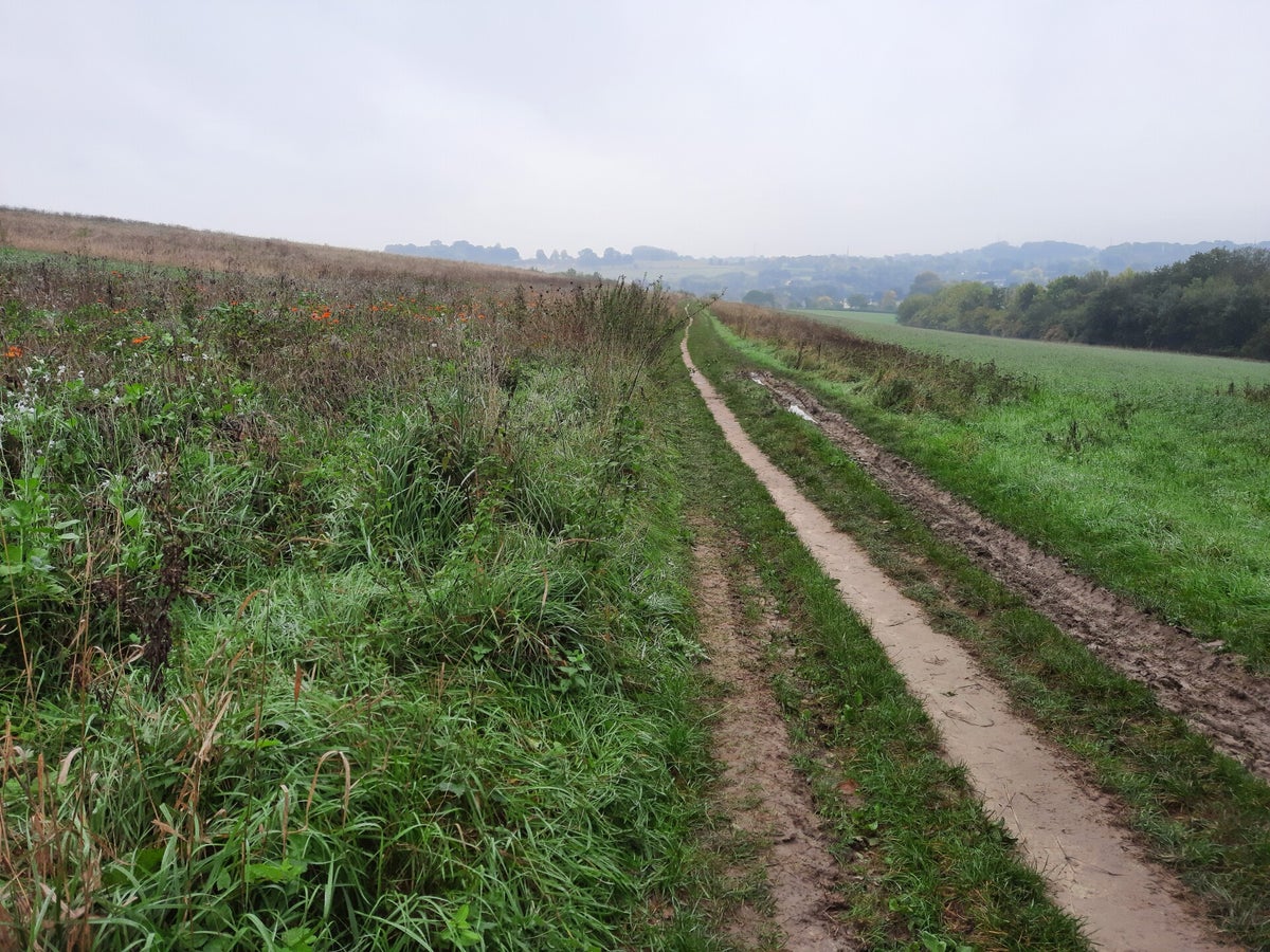Trage Tocht Schin op Geul / Blog | Geografisch Wandelen
