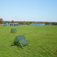 DSC07558.jpg