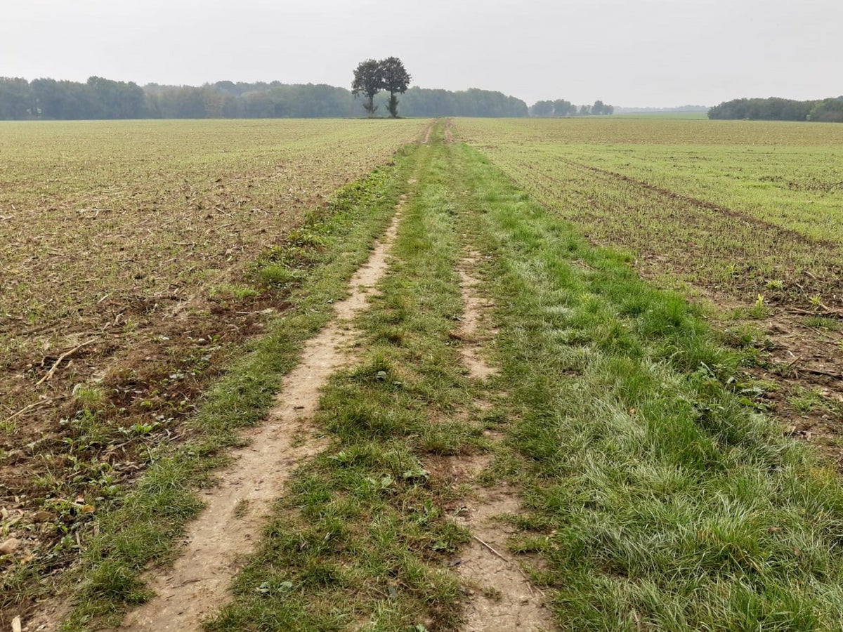 Trage Tocht Schin op Geul / Blog | Geografisch Wandelen