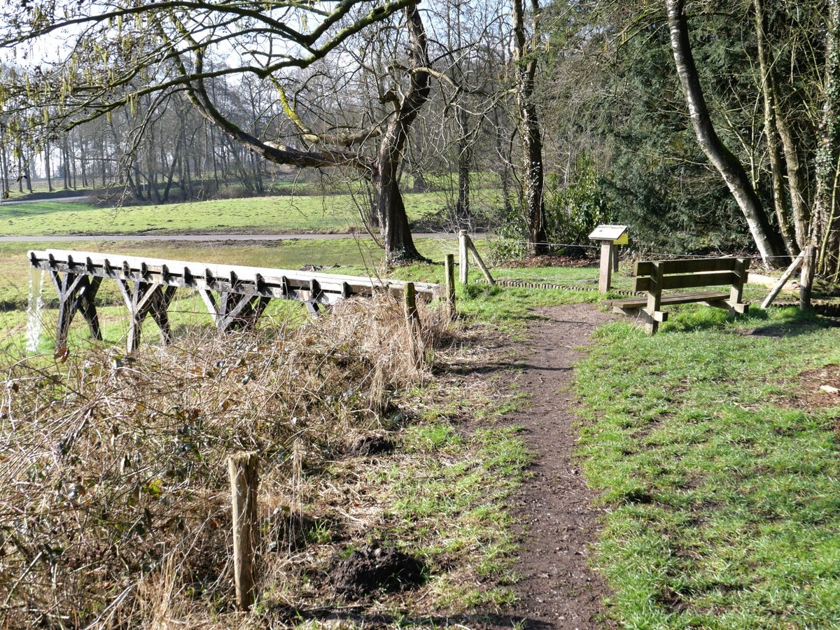 Beekloop Oosterbeek / Veluwse Beeklopen | Geografisch Wandelen