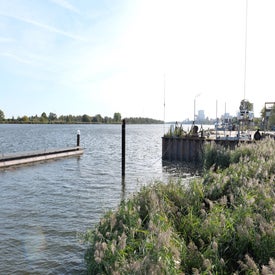 l1001403-standard.jpg