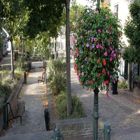 l1001405-standard.jpg