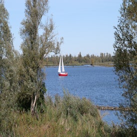 l1001421-standard-ovxrk6.jpg