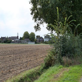 l1001428-standard-tlikfb.jpg