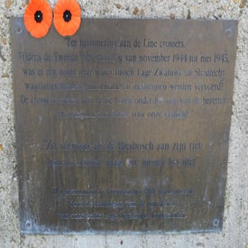 l1001430-standard.jpg