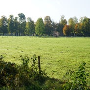 DSC07533-1.jpg