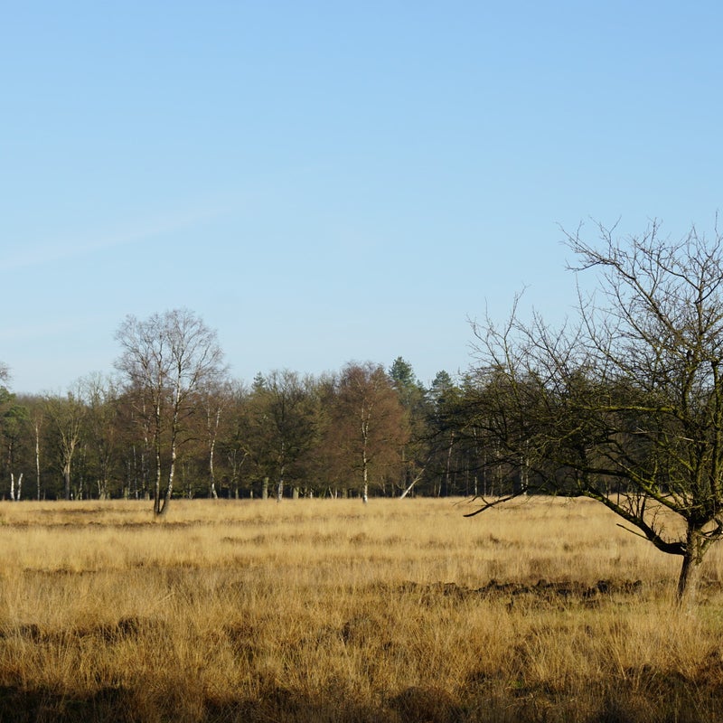DSC07805.jpg