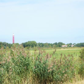 dsc01239-4.jpg
