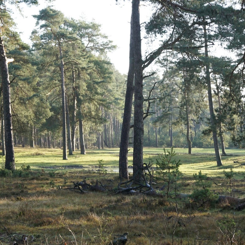 DSC07812versie2.jpg