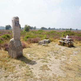 dsc01091jpg.jpg