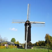 DSC07568-2.jpg