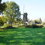 DSC07571-2.jpg