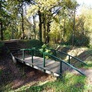 DSC07572-2.jpg